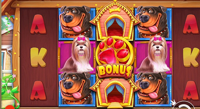 Luật chơi tựa game Dog House như thế nào?